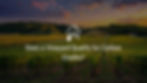Does a Vineyard Qualify for Carbon Credits?
