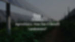 Agrivoltaics: How Can It Benefit Landowners?
