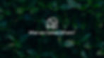 Photograph of green leaves with text overlay 'what are Carbon Offsets?'