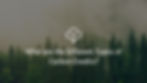 What are the different types of Carbon Credits? Image of cloudy forest.