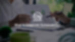Photograph of corporate sustainability with text overlay "What is Corportate Sustainability?"