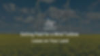 photograph of white wind turbines on land with yellow flowers and text overlay "Getting Paid for a Wind Turbine Lease on Your Land"