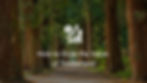 Photograph of trees with text overlay 'How to Grow the value of timberland'