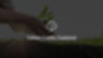 Photograph of hands planting a small green tree in dirt