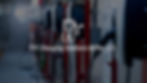 Photograph of an EV charging stations with text overlay "EV Charging Stations in the U.S."