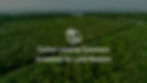 Aerial photography of green trees with the ocean in the distance