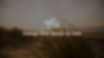 Photograph of wind blowing through grass with text overlay "Average Wind Speeds by State"