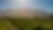 cropland